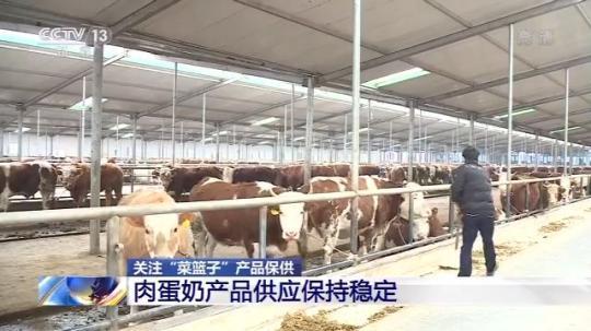 全国“菜篮子”产品供应总体有保障，乳制品表现尤为稳健